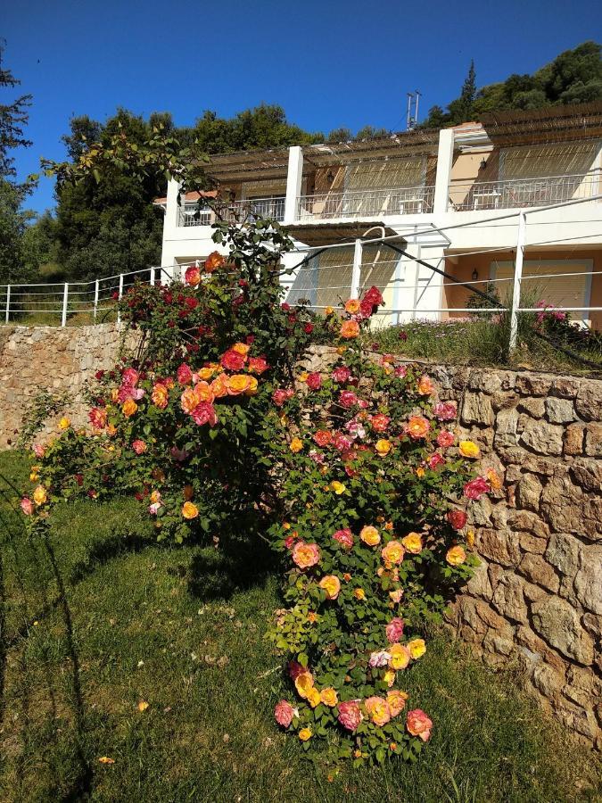 Hotel Theasis Paralia Sergoulas Exterior photo