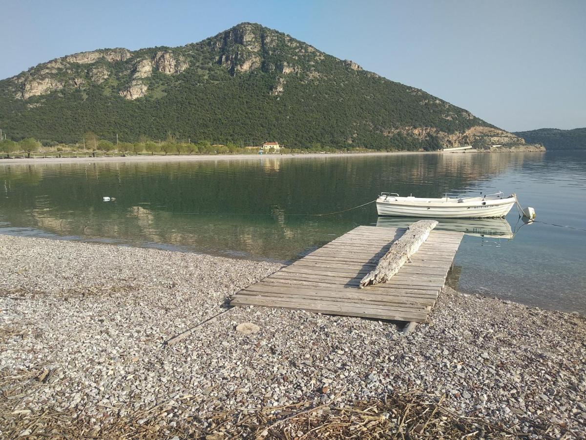 Hotel Theasis Paralia Sergoulas Exterior photo